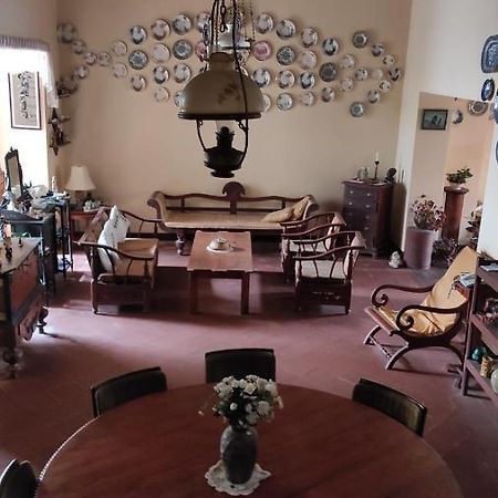 Beatrice House Galle Fort - Homestay المظهر الخارجي الصورة